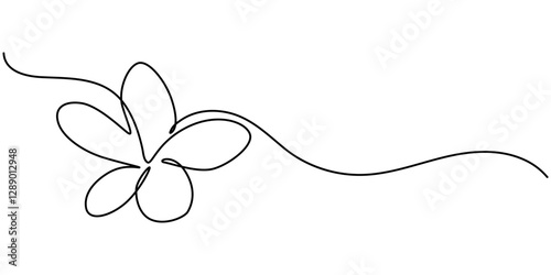 Plumeria flower continuous one line drawing. Frangipani linear blossom. Vector isolated on white, Plumeria flowers in continuous line art drawing style. Vector illustration, Plumeria flowers.