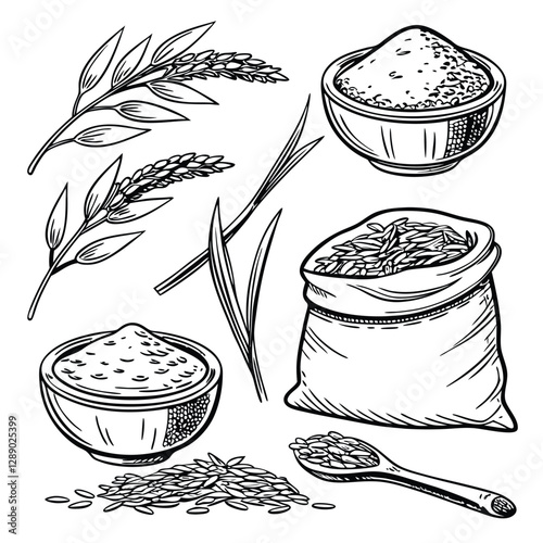 set of different kinds of food