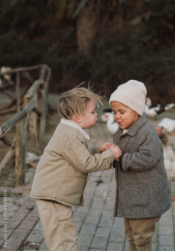 Two little boys stand on a farm among geese, warming each other’s hands. They hold onto each other and blow on their hands to keep warm. A cozy rural moment in cold weather. Two little boys stand on a farm among geese, warming each other’s hands. They hold onto each other and blow on their hands to keep warm. A cozy rural moment in cold weather.