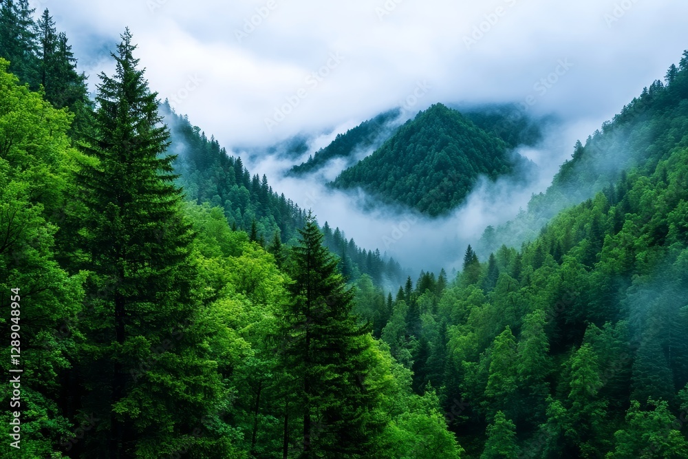 Fototapeta premium Morning Mist in the Mountainous Forest - Lush green mountains shrouded in mist, symbolizing serenity, mystery, nature's peace, renewal, and hidden beauty