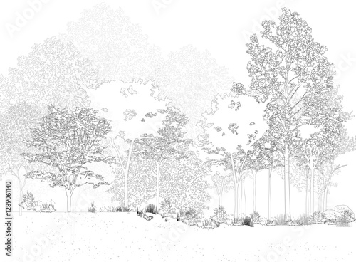 Architectural Drawings, Minimal style cad tree line drawing, Side view, set of section wetland forest outline for landscape design drawing. Vector illustration in seperate element