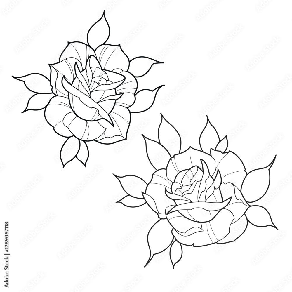 Obraz premium Roses with leaf line work illustration