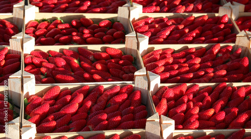 фотографія wooden crates of ripe red strawberries for sale at the fruit and vegetable marke