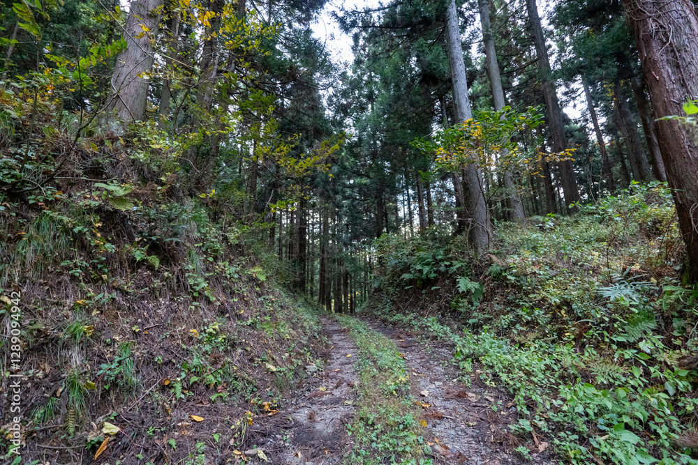 Obraz premium Historic old road “Salt Road” which is also a long distance hiking course and its surroundings