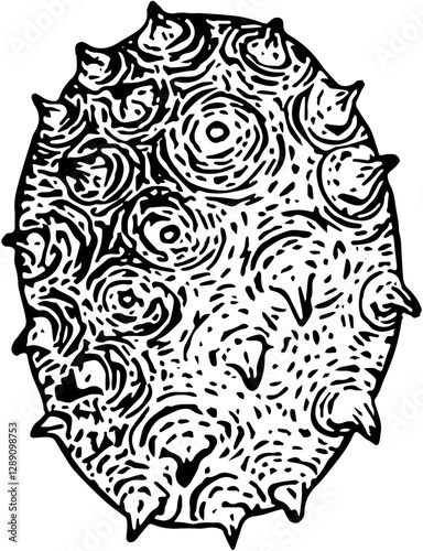 Fruit. Hand drawn vector isolated engraved sketch. Horned melon