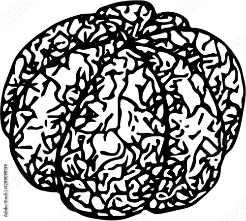 Fruit. Hand drawn vector isolated engraved sketch. Mandarin 