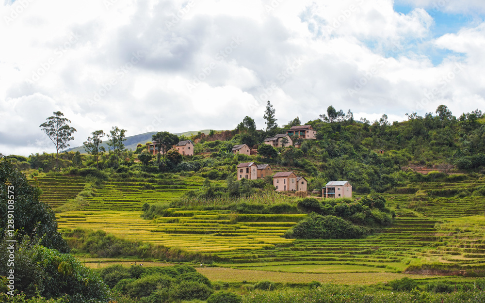 Typical Madagascar landscape in region near Sandrandahy, houses on small hills with terraced rice fields near