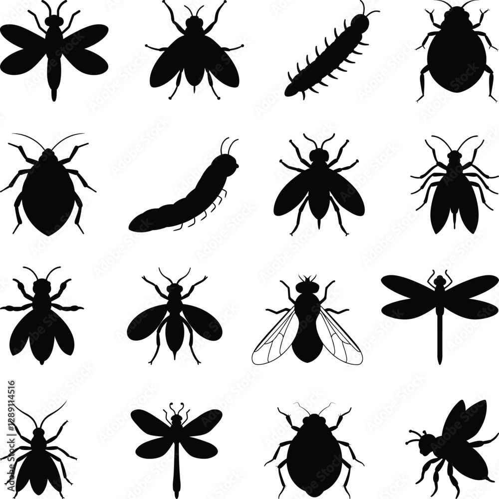 Fototapeta premium Insect Silhouettes Collection, Insect Silhouettes Set, Cute Set Insects Bugs Illustration