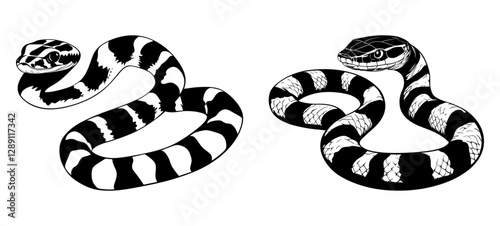 Two coiled snakes. Vector illustration of two coiled snakes in black and white, showing bold contrast and distinct striping, stylized for graphic impact.