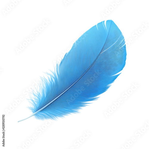 Blue feather with soft delicate texture isolated on a white background.