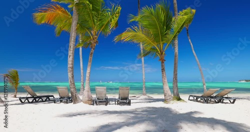 relaxing landscape sun loungers on tropical beach shore with palm trees and caribbean sea turquoise waters and ocean breeze