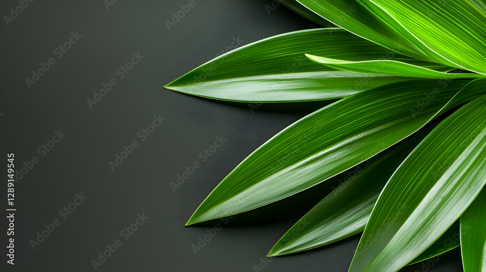 Fototapeta premium Vibrant Green Leaves on Dark Background
