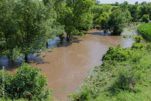 flood waters in trees