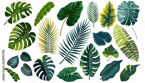 Assorted Tropical Leaves Vector, Palm, Banana, Green Foliage, Exotic Jungle Plants, Nature Illustration, Botanical Art, Lush Rainforest, Summer Vibes, Fresh Leaf Design