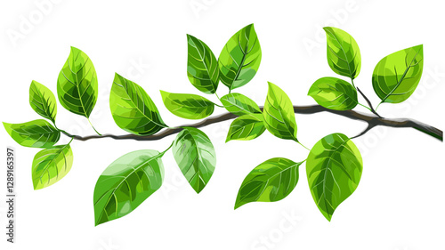Vector Green Branch with Glossy Leaves, Nature, Fresh Foliage, Botanical, Natural Leaf, Plant, Eco, Spring, Isolated, Elegant, Realistic, Decorative, Vibrant, Design, Lush, Illustration