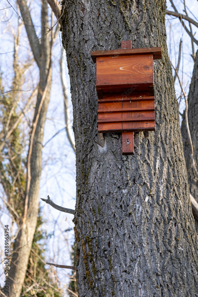Unique wooden birdhouse on a tree. Unique wooden birdhouse on a tree.