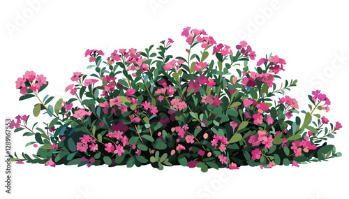Vector Bush with Vibrant Pink Flowers, blooming shrub, botanical illustration, floral plant, isolated greenery, nature clipart, garden foliage, spring flora, artistic leaves