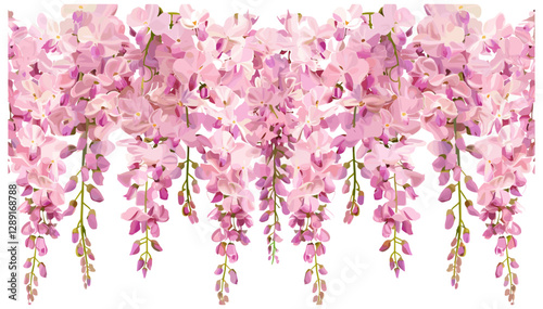 Pink Cascading Wisteria Vector, Hanging Floral Vine, Spring Bloom, Romantic Garden Flowers, Botanical Art, Blossom Illustration, Nature Aesthetic, Elegant Petals