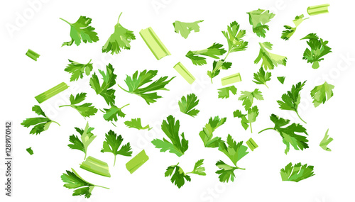 Fresh green chopped celery leaves, top view, white background, texture, organic herb, raw food, salad ingredient, healthy vegetable, natural garnish, culinary seasoning