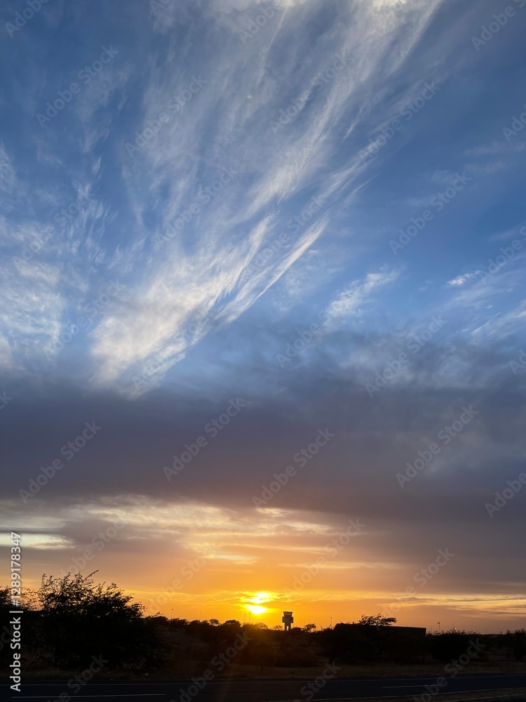 Fototapeta premium Morning