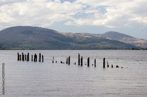 Old submerged and weathered pilings, all that remain of a long ago pier in Loch Lommond as seen from the town of Balloch in the Scottish Highlands. 