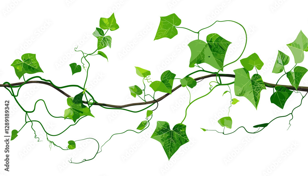 Green Vine with Leaves and Roots Vector, nature element, botanical drawing, creeping foliage, ivy tendril, jungle plant, organic art, herbal motif, garden vine, wild flora Green Vine with Leaves and Roots Vector, nature element, botanical drawing, creeping foliage, ivy tendril, jungle plant, organic art, herbal motif, garden vine, wild flora