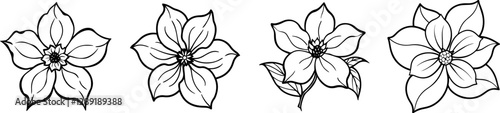 Set of Line art of dogwood flower vector illustration