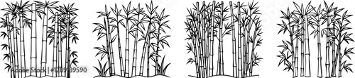 Set of Bamboo Grove outline Vector Illustration, Line Art