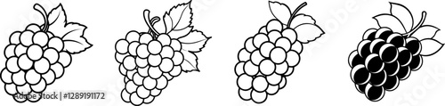 Set of Line art of grapes vector illustration
