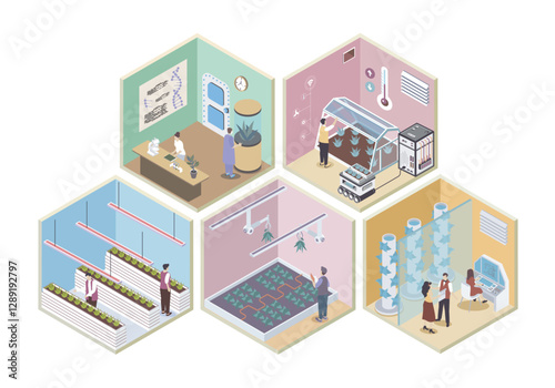 Modern agricultural 3d isometric rooms concept in isometry graphic design for web. People working in smart greenhouse and vertical growth farm, researching plants in laboratory. Vector illustration.