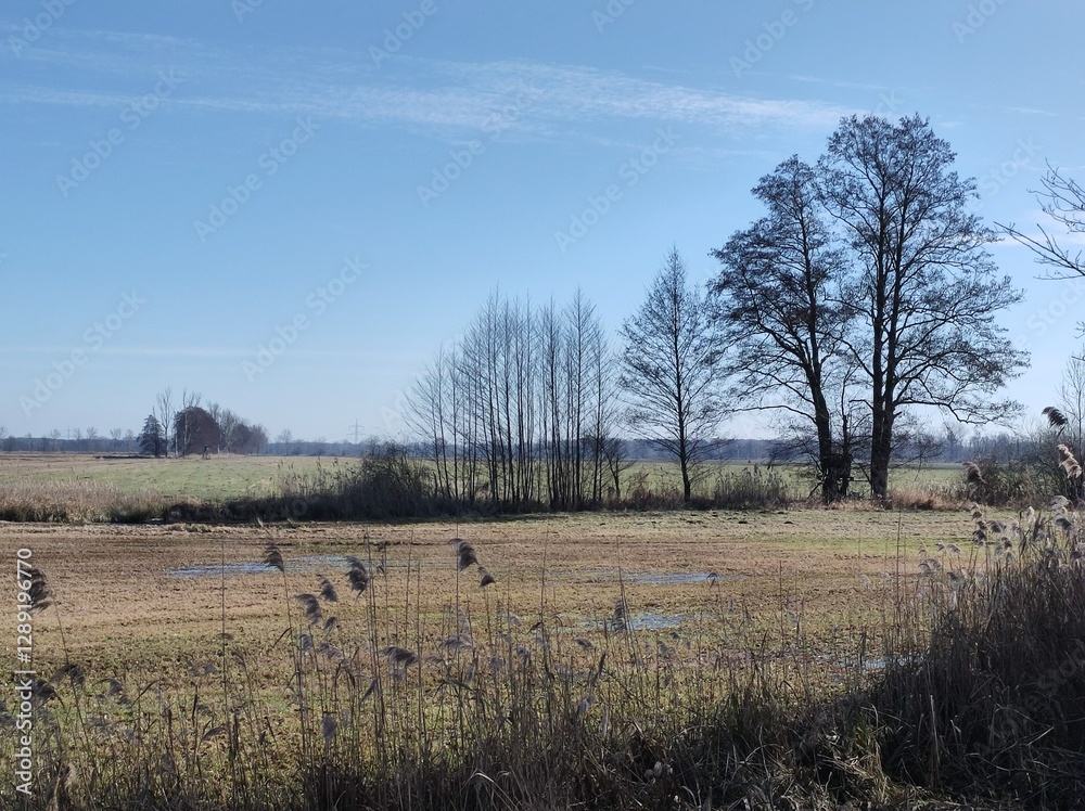 Landschaft am Morgen im Februar Landschaft am Morgen im Februar