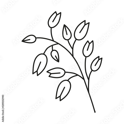Doodle outline oat branch isolated on white background.