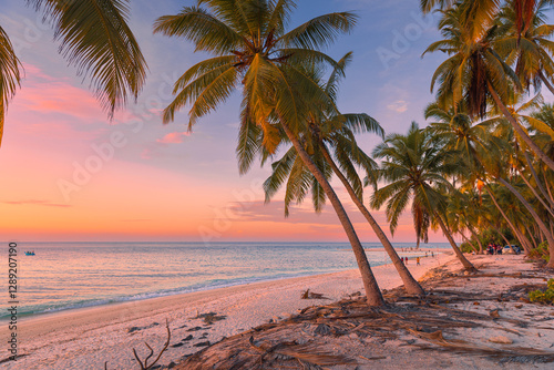 Fototapeta Naklejka Na Ścianę i Meble -  Sunset on paradise tropical beach with palm trees and quiet sea. Natural pastel tones