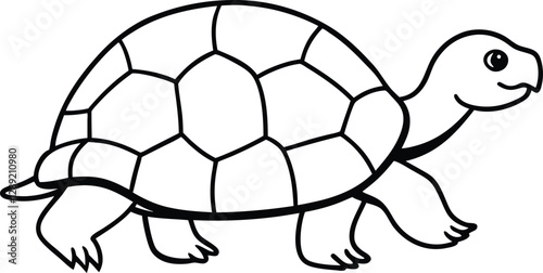 Tortoise walking slowly vector illustration
