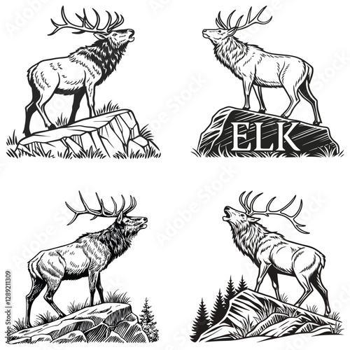 vector hand-drawn-illustration of an Elk stand on stone  