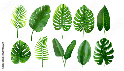 Tropical leaves isolated on transparent background, vector nature green leaves, fresh foliage, botanical design, nature background, vibrant green plants, exotic leaves
