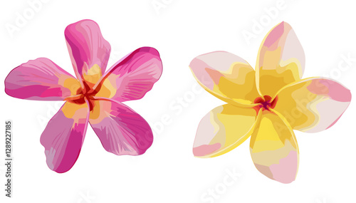 Pink and Yellow Frangipani Flowers vector, tropical frangipani, vector flowers, exotic floral design, nature vector, tropical flowers, plumeria vector, yellow and pink flowers