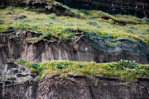 Принти на полотні Geology