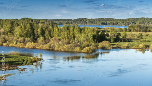 Tranquil scenic view of a calm river bordering vibrant green foliage