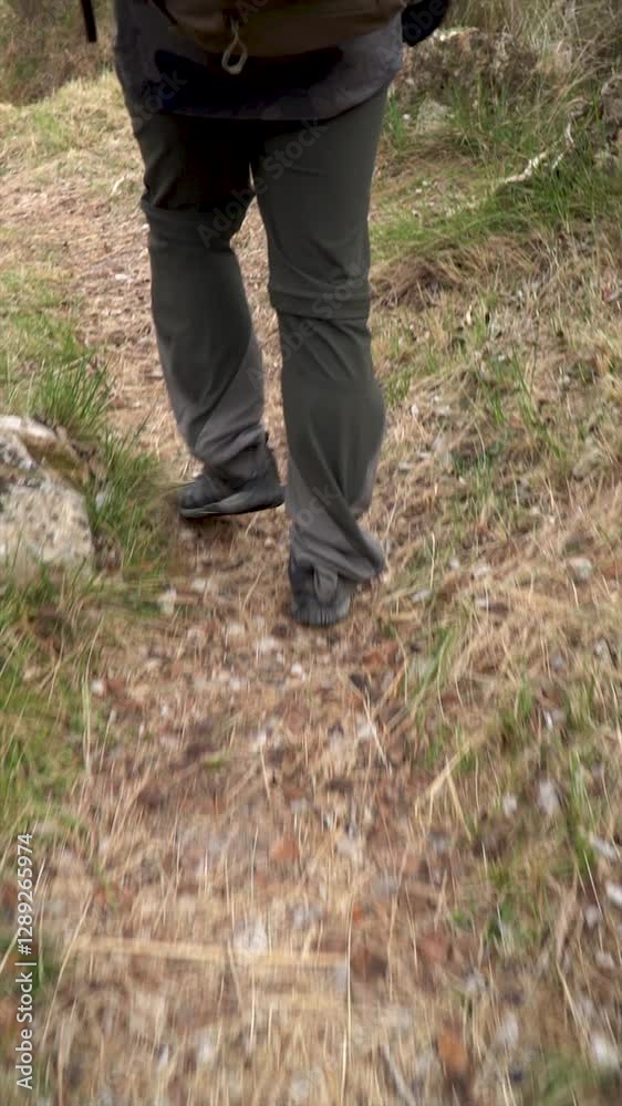 Slow motion, legs of a hiker walking in the forest Slow motion, legs of a hiker walking in the forest