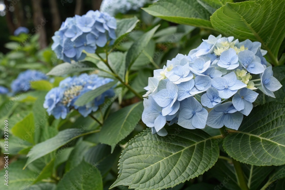 Nature's Harmony: Stunning Flower and Animal Wallpaper Collection Nature's Harmony: Stunning Flower and Animal Wallpaper Collection