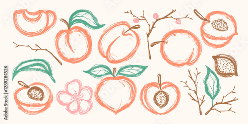 Set of Hand Drawn Delicious Peaches. Colorful grunge abstract peach collection with bold outline and texture. Clipart juicy food in doodle style 
