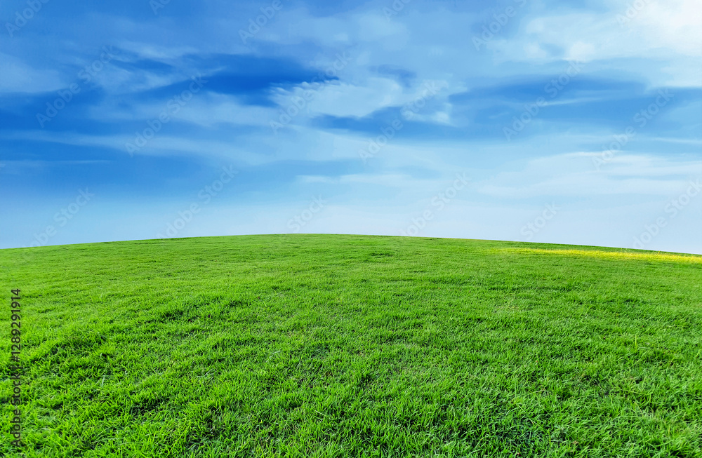 Green grassland landscape, blue sky and clouds panoramic background, outdoor atmosphere, refreshing and relaxing feeling. Green grassland landscape, blue sky and clouds panoramic background, outdoor atmosphere, refreshing and relaxing feeling.