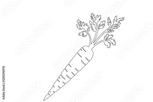 Carrot in one continuous line drawing of carrot vector illustration