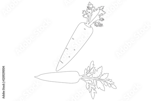 Carrot in one continuous line drawing of carrot vector illustration
