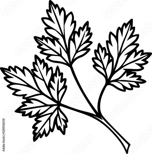 Line art of coriander leaves vector illustration
