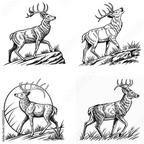 Vector bold sketch of whitetail deer