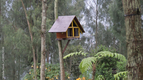Wooden birdhouse with yellow trim mounted on a tree surrounded by lush greenery and tall pine trees in a serene outdoor garden setting
