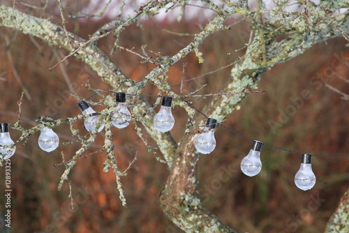 A row of decorative string lights draped across lichen-covered tree branches in a natural outdoor setting. The bulbs reflect daylight, creating a rustic and cozy atmosphere
