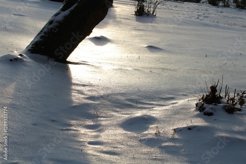 Golden sunlight reflects on a frozen snowy surface, casting long tree shadows. A serene winter landscape with soft textures and delicate contrasts of light